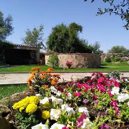 El Lagar Del Abuelo En Los Arribes Del Duero, Badilla, Zamora Exterior photo